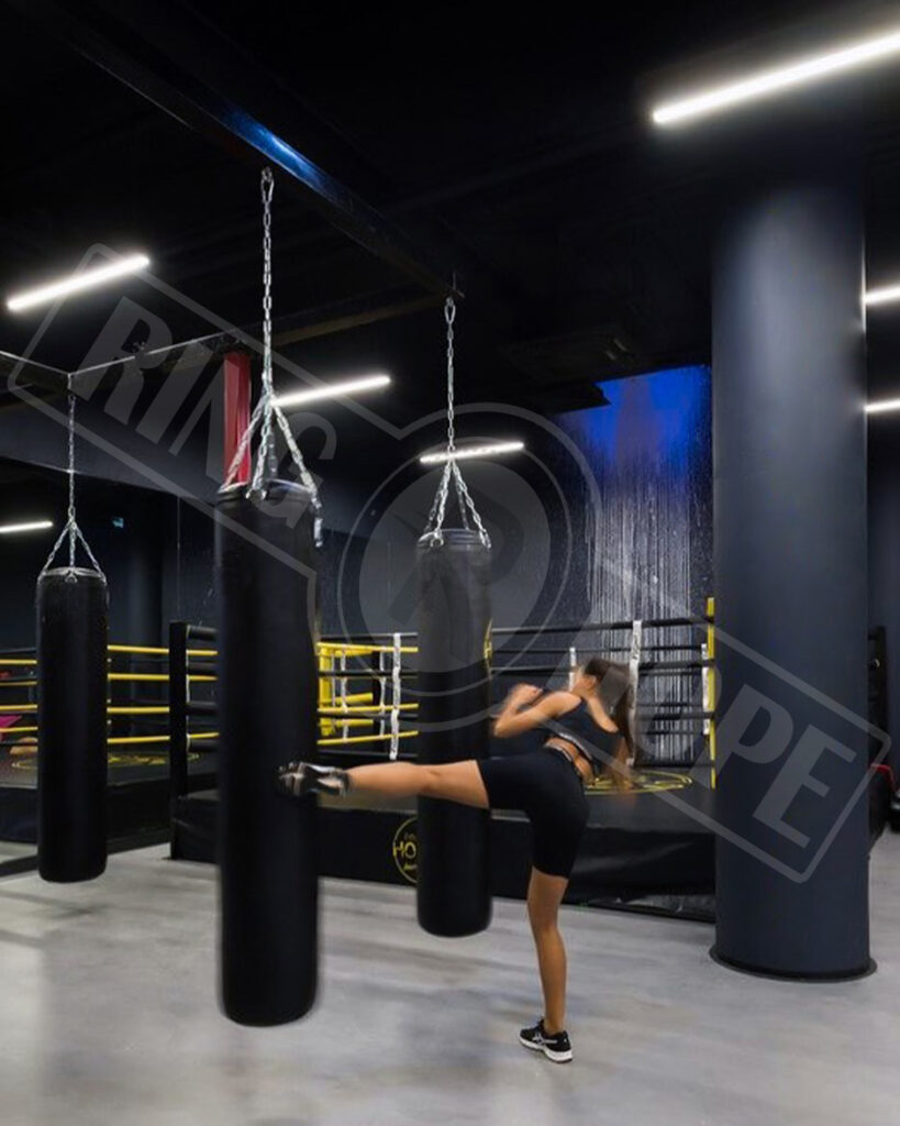 Punching Bags for Gyms
